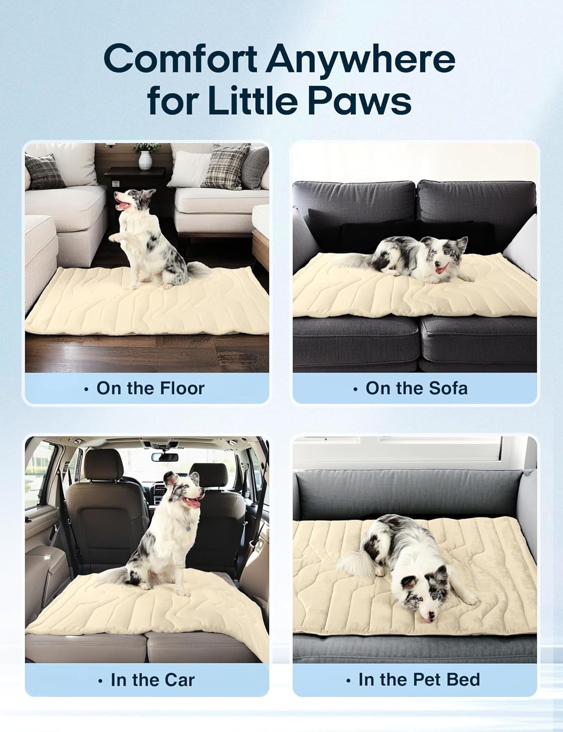 Paws & Cool - $38.99