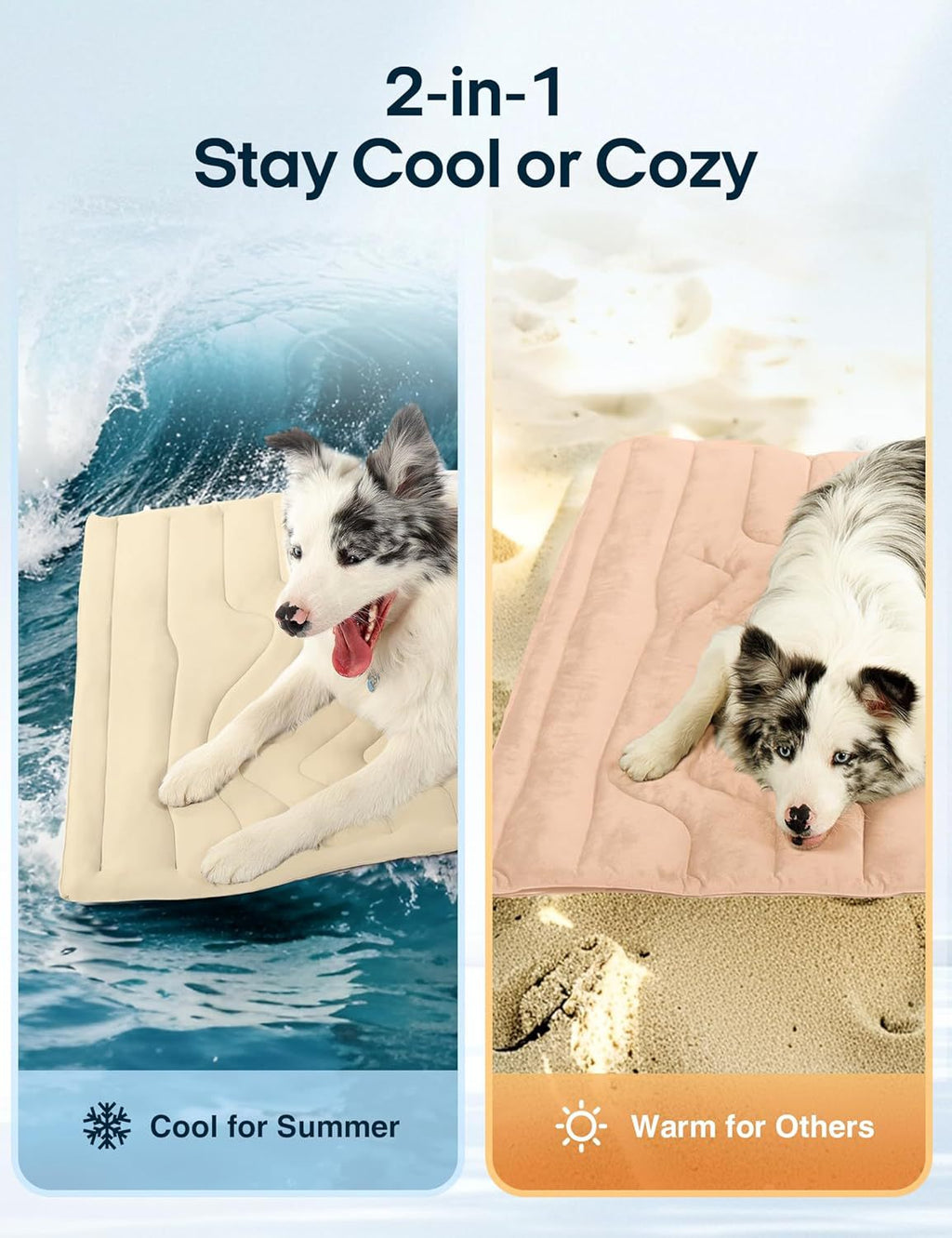Paws & Cool - $38.99